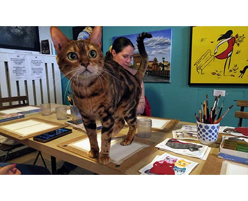 Akvarell élményfestés cicákkal a Cat Museumban