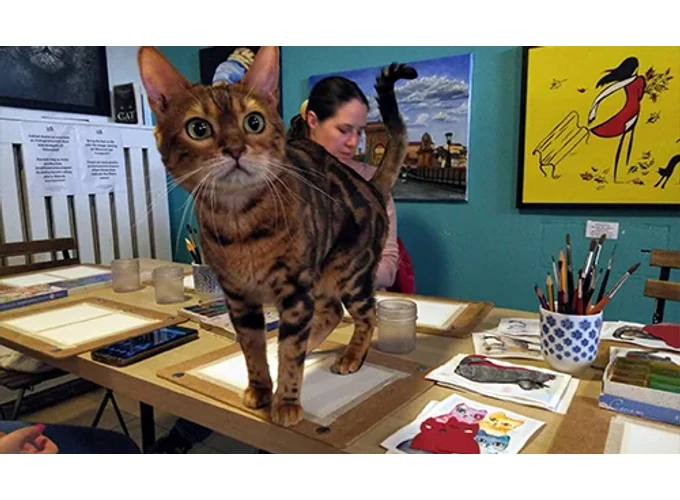 Páros akvarell élményfestés cicákkal a Cat Museumban